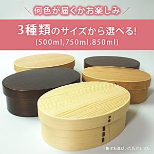 サイズが選べる! お試し曲げわっぱ 弁当箱 送...の詳細画像1