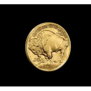 2026年 アメリカン・ゴールドイーグル金貨 ...の詳細画像1