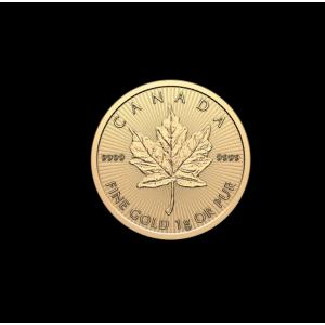 2026 カナダ メイプルリーフ 金貨 25g...の詳細画像2