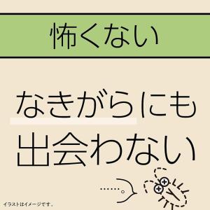 【4本セット】マモルーム ゴキブリ用 取替えボ...の詳細画像2