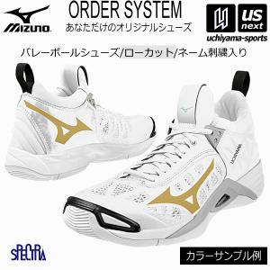 ミズノ バレーボールシューズ オーダーシューズ ...の商品画像