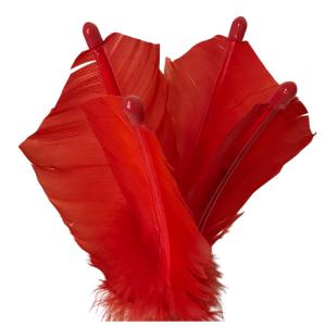 サンラッキー インディアカ スペア羽根 SS-...の詳細画像1