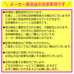 (メーカー直送品/個別送料) ササキ 新体操 ...の詳細画像2