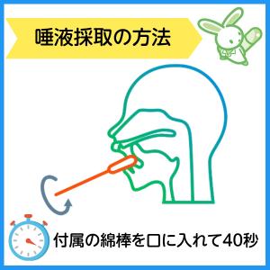 厚労省承認 唾液タイプ 新型コロナ 抗原検査キ...の詳細画像3
