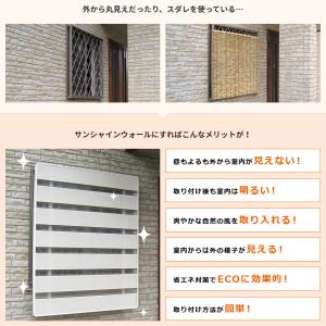 目隠しルーバー 窓 戸建て 741 879 8mm メンテナンス ポイント2倍 固定 戸建て サンシャインウォール 防犯 掃除 日除け 簡単 採光 遮光 マンション ポイント2倍 送料無料 Lic Ssw 28 うさぎ屋 資材 Diy館