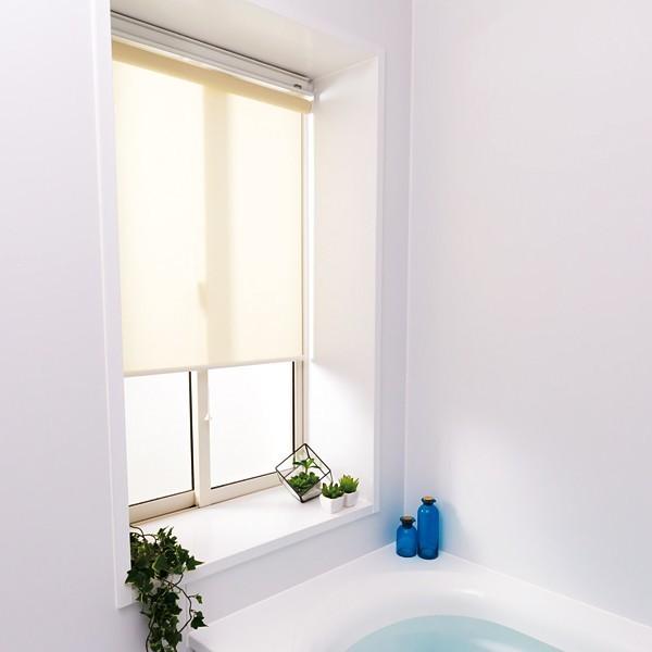 立川機工 ロールスクリーン 浴室用 W30-40×H30-90cm