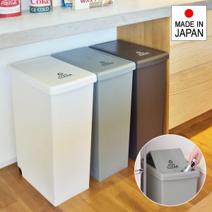 東谷 ゴミ箱 45L 分別 一体型 スリム キャスター付き ごみ箱 シンプル