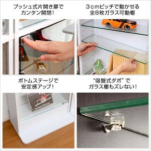 コレクションケース 薄型 大型 コレクションラ...の詳細画像4