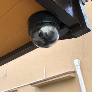 ダミー カメラ ドーム型 防犯カメラ フェイク 監視カメラ 点滅LED 電池