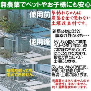 除草剤 安全 無農薬 粉状 強力 業務用 家庭...の詳細画像1