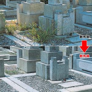 除草剤 安全 無農薬 粉状 強力 業務用 家庭...の詳細画像3