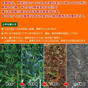 除草剤 安全 無農薬 粉状 強力 業務用 家庭...の詳細画像4