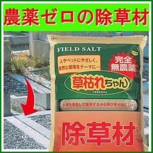 除草剤 安全 無農薬 粉状 強力 業務用 家庭...の詳細画像5