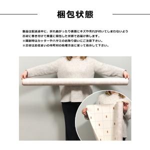 ダイノックシート 3M カッティングシート 壁...の詳細画像4