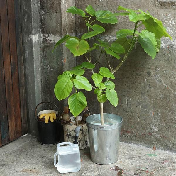 プランター 鉢 植木鉢 ポット おしゃれ スチール アルミニウム 大型