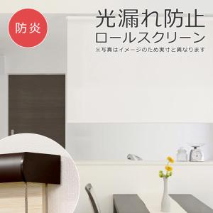 フルネス（Fullness） ロールスクリーン 防炎 遮光1級 170×220cm