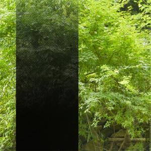 窓ガラス フィルム シート 目隠し ガラスフィルム 窓 防犯フィルム 飛散防止フィルム グラデーション 黒 イルミナ・ブラック diy 3M ファサラ SH2BKIM 幅1270mm