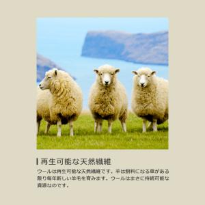 毛氈 赤 紺 書道 雛人形 茶室 和室 毛せん...の詳細画像5