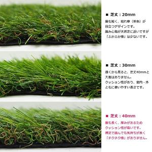 人工芝 幅 2m 長さ 2.5m 厚み 40m...の詳細画像3