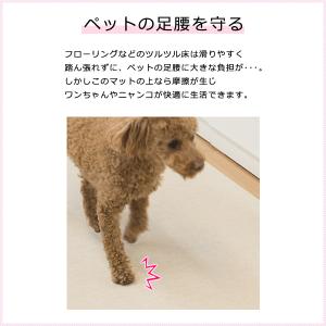 消臭マット 65×90cm 犬 猫 防水 滑り...の詳細画像1