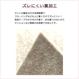 消臭マット 65×90cm 犬 猫 防水 滑り...の詳細画像4