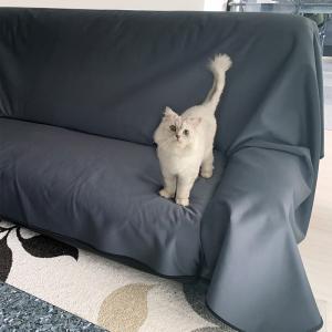 防水マット カバー シート ソファカバー ベッ...の詳細画像3