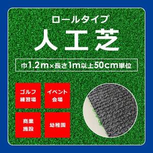 人工芝 ロール 芝生 幅1.2m ナイロン 防炎...の商品画像