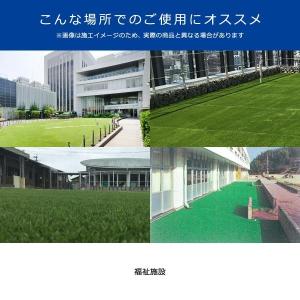 人工芝 サンプル 見本 東レ TORAY スパ...の詳細画像4