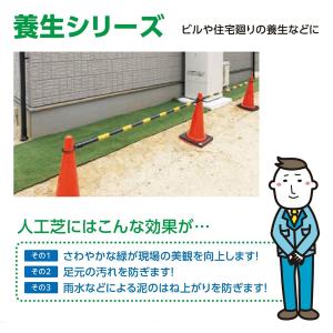 人工芝 ロール 芝生 diy 庭 ガーデニング...の詳細画像2