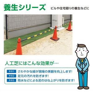人工芝生 ロール リアル 人工 芝 芝生 マッ...の詳細画像2