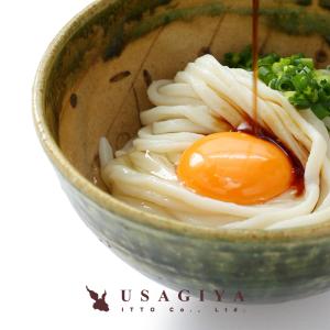讃岐うどん 饂飩 さぬき つゆ だし 四国 香川 製麺所 メ...