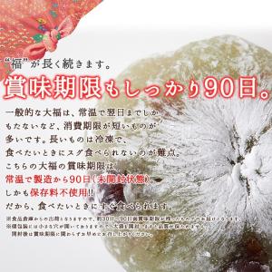 大福 一口 ひとくち サイズ 個包装 1kg ...の詳細画像3