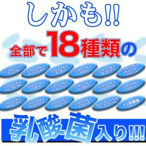 乳酸菌 サプリ ビフィズス菌 サプリメント 食...の詳細画像4