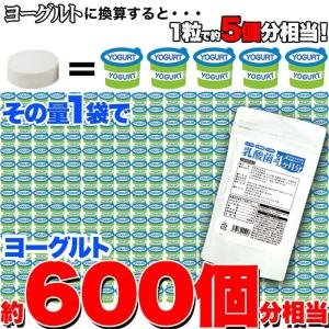 乳酸菌 サプリ ビフィズス菌 サプリメント 食...の詳細画像5