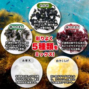 海藻 わかめ 増える 若布 ワカメ 糸寒天 か...の詳細画像3