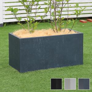 ハマセンダン鉢からの高さ90センチ ハマセンダン鉢からの高さ90センチ