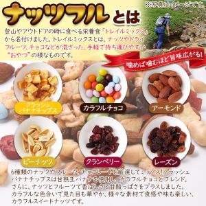 ミックスナッツ チョコレート バナナ アーモン...の詳細画像3