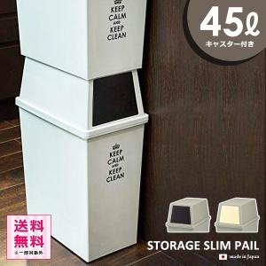 ゴミ箱 45l フタ付き おしゃれ スリム 45リットル 縦型 キッチン リビング ごみ箱 ウィルマート