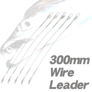 ワイヤーリーダー 300mm 5本入 ナイロンコーティング (UGG1)