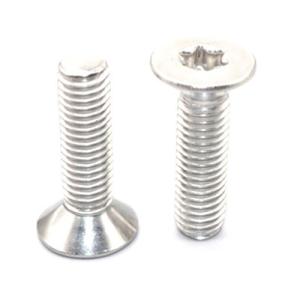 トルクスネジ M6x25mm 1本 ステンレス 皿ネジ (UG12)