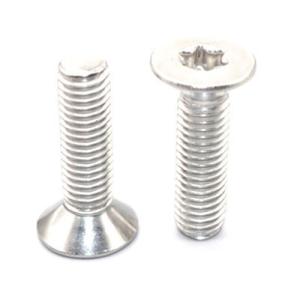 トルクスネジ M2x12mm 1本 ステンレス 皿ネジ (S9)