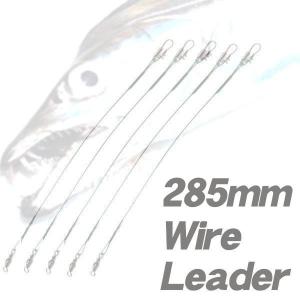ワイヤーリーダー 285mm 5本入 ナイロンコ...の商品画像