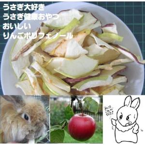 うさぎ大好き りんごドライチップ50g すごくおいしい 青森りんご 健康 栄養 みんな大好き うさぎの健康おやつ