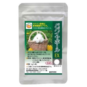 お試しパック4g NEW 毛球 パパイン酵素 胃腸 食欲低下 抜け毛 毛詰まり パパイヤ 消化 毛球サポート パパイヤボール