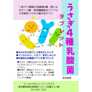 新発売 うさぎ乳酸菌 腸を元気に 4種の乳酸菌タブレット お試し2g
