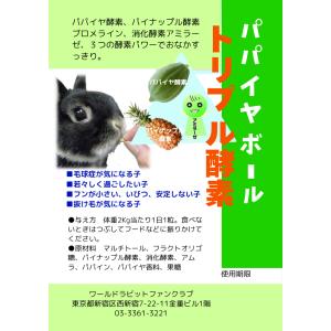 25%OFF 新発売 うさぎ 毛球サプリ パパイヤボール トリプル酵素 お試し2g