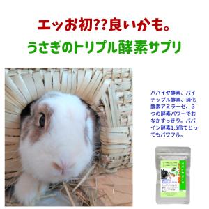 新発売 うさぎ 毛球サプリ パパイヤボール ト...の詳細画像2