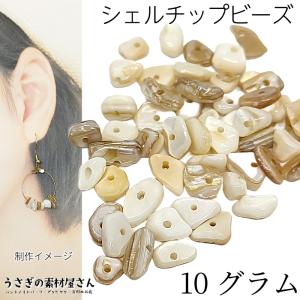 貝 シェル チップ 約3mm?13mm程度 マリン パーツ さざれ 夏 10グラム｜usaginosozaiya