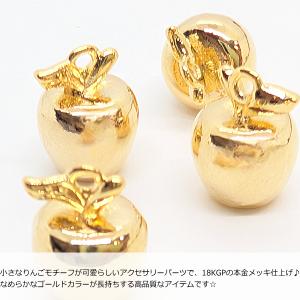 チャーム リンゴ 10.5mm 18kgp 本...の詳細画像1