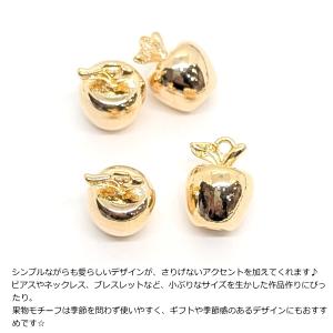 チャーム リンゴ 10.5mm 18kgp 本...の詳細画像3